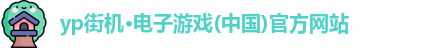 yp电子